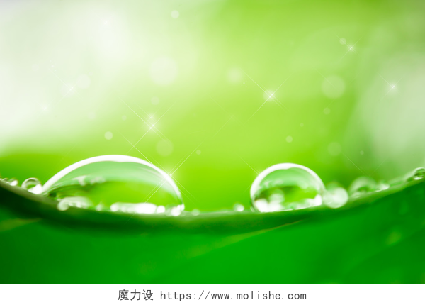 模糊背景绿色树叶上的水珠叶上的水滴